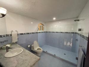 阿卡普尔科Brisa del Mar的带淋浴、马桶和水槽的浴室