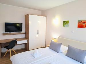 TV a/nebo společenská místnost v ubytování Guest House Ankora