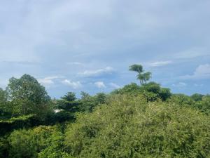 een groep bomen met een palmboom op de achtergrond bij Le Grand Bleu in Koh Samui  +38 foto's