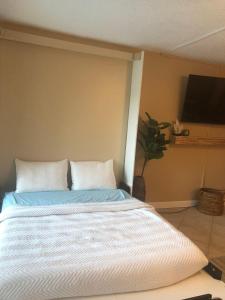 Gallery image of Ocean Alley in New Smyrna Beach