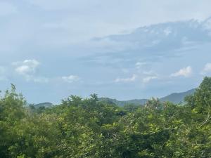 uitzicht op bomen en bergen in de verte bij Le Grand Bleu in Koh Samui 