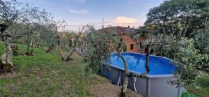 Bazén v ubytování Casa Cipressino nebo v jeho okolí + 37 fotografií