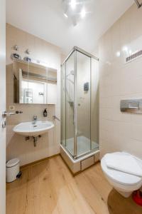 une salle de bain avec une douche, des toilettes et un lavabo dans l'établissement Gemütliche 1 Zi-Whg in TOP Lage von Passau!, à Passau
