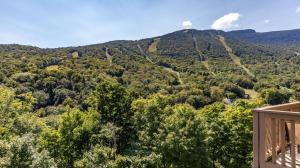 Příroda nedaleko rezortu