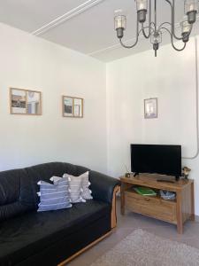 Μια τηλεόραση ή/και κέντρο ψυχαγωγίας στο Alida apartman Tokaj Tisza part +35 φωτογραφίες