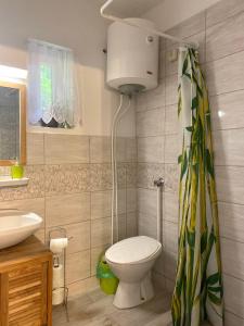 Ένα μπάνιο στο Alida apartman Tokaj Tisza part