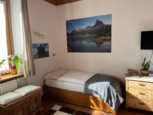 a bedroom with a bed and a picture on the wall at Masito Apartments The Hub in Cortina dʼAmpezzo