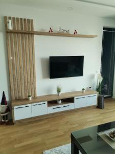 TV i/ili multimedijalni sistem u objektu Devana S23