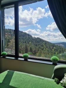 Priroda u blizini apartmana