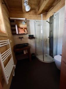 ラッハタールにあるTroadkastn Chalet Lachtalのシャワー、トイレ、洗面台付きのバスルーム
