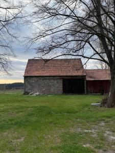 an old barn in a field with a tree at Mams-Cottage-Brunhilde in Harnischdorf