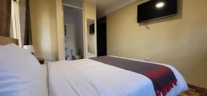 TV a/nebo společenská místnost v ubytování Casa Medina Hostal