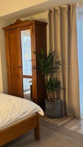 ein Schlafzimmer mit einem Bett und einer Topfpflanze in der Unterkunft Hotel Lucy Star in Cluj-Napoca + 18 Fotos