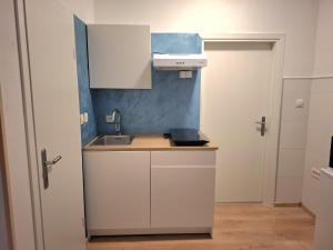 una piccola cucina con lavello e fornello di City Studio Ana a Fiume (Rijeka) Altre 13 foto
