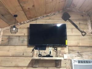 a flat screen tv hanging on a wooden wall at Tree top View 15 in Rising Fawn