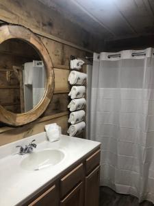 a bathroom with a sink and a mirror at Tree top View 15 in Rising Fawn +9 photos
