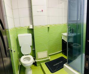 a small bathroom with a toilet and a shower at Apartament Tudorache Premium 1 in Turceni