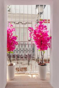 Zahrada ubytování Feria Corner