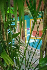 un primer plano de una planta frente a una piscina en Pousada Ziriguidüm, en Caraíva