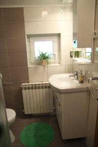 ein Badezimmer mit Waschbecken, Toilette und Fenster in der Unterkunft Apartments Strmac in Slunj + 85 Fotos
