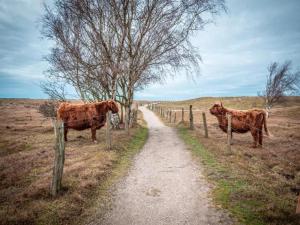 Tiere in der Ferienwohnung oder in der Nähe