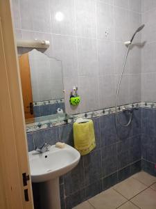 Koupelna v ubytování Alura