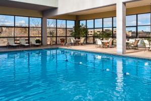 Bazén v ubytování Sheraton Denver West Hotel nebo v jeho okolí