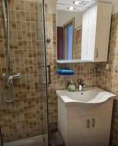 a bathroom with a shower and a sink and a mirror at Apartments Vesna in Maslinica +31 photos