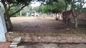 Quinta don francisco外面的花园