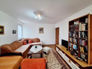 Knihovna v apartmánu