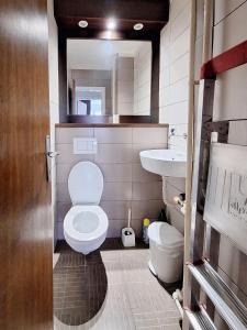 Koupelna v ubytování Dvosoban stan sa predivnim pogledom - Čengić Vila