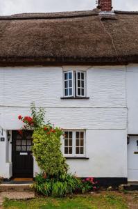 ein weißes Haus mit roten Blumen davor in der Unterkunft Cosy North Devon Thatched Cottage near beaches in Marwood