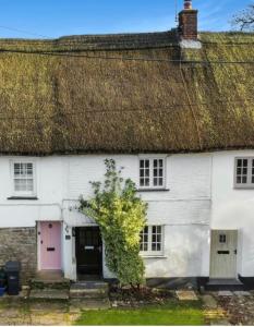 ein weißes Haus mit einem Strohdach und einer rosa Tür in der Unterkunft Cosy North Devon Thatched Cottage near beaches in Marwood