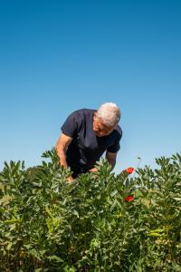 Hosté ubytování Masseria La Mandra