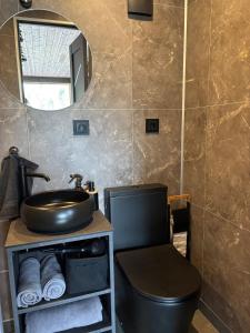 Un baño con lavabo, inodoro y espejo. en Sidrabgrava - Luxury cabin in woods, en Limbaži