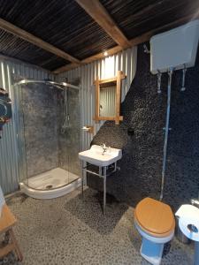 a bathroom with a shower and a toilet and a sink at Farmstay Zijperdijk in Anna Paulowna