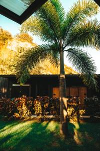 Un jardín fuera de Wao Jungle Venao