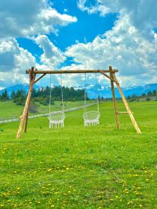 a swing in the middle of a field at Eternum Glamping in Žabljak