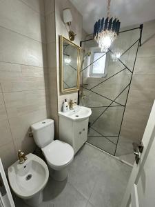 Koupelna v ubytování Slatina Cornisiei apartament central 2 camere și living