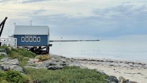 ein blaues Gebäude am Strand mit Vögeln im Wasser in der Unterkunft West Busselton Cottage in Broadwater