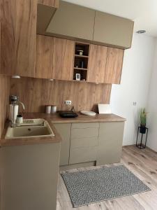 MirovoPrimo apartmani的带水槽和木质橱柜的厨房