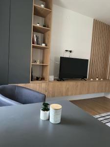 MirovoPrimo apartmani的带桌子和电视的客厅