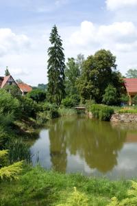 Příroda nedaleko hotelu