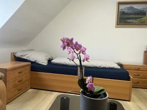 una habitación con una cama y una maceta en una mesa en Beishan Apartment Dachgeschoss, en Núremberg