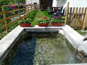 Zahrada ubytování la fonte