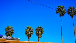 Fotografie z fotogalerie ubytování Cozy Private Guest House v Los Angeles