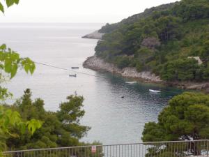Príroda v okolí apartmánu