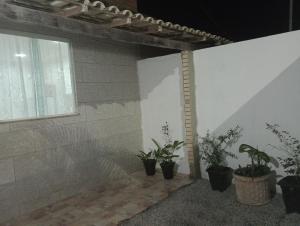 ein Zimmer mit Topfpflanzen an der Wand in der Unterkunft Casa para vc curtir 2 in Cabo Frio