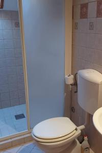 une salle de bain avec toilettes et douche dans l'établissement Apartments by the sea Cavtat, Dubrovnik - 24545, à Cavtat 16 autres photos