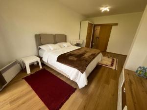 a bedroom with a large bed and a red rug at Sarajevo Pine House in Sarajevo